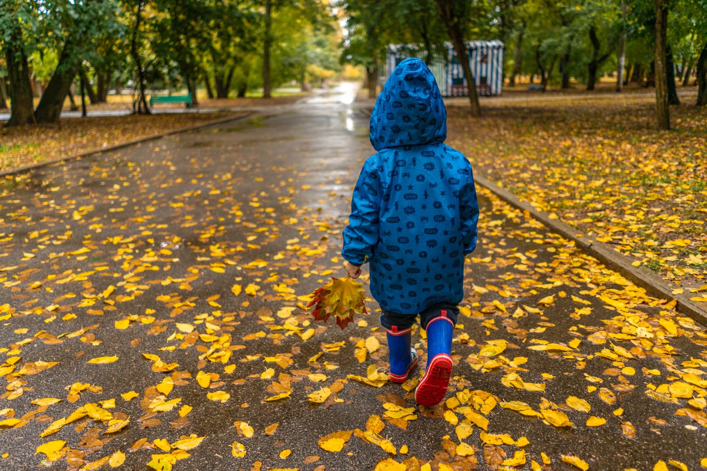 Child in a blue hooded raincoat and boots walking on a leaf-covered path.